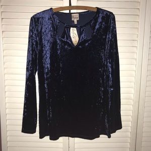 NWT Blue Sapphire Velour Blouse